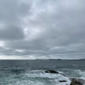 Meet your Posher, Havyn